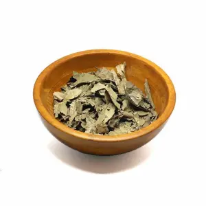 عشبة ورق الجوافة