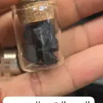 العنبر البقري للتسمين