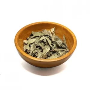 عشبة ورق الجوافة