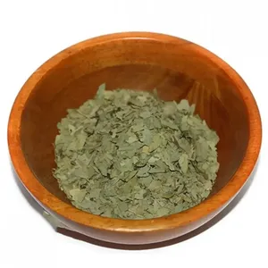 عشبة سنا مكي ورق