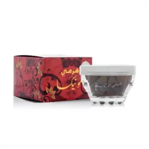 بخور مونيكا هرمي 12 قطعة
