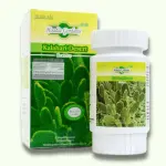 حبوب الصبار الأصلية